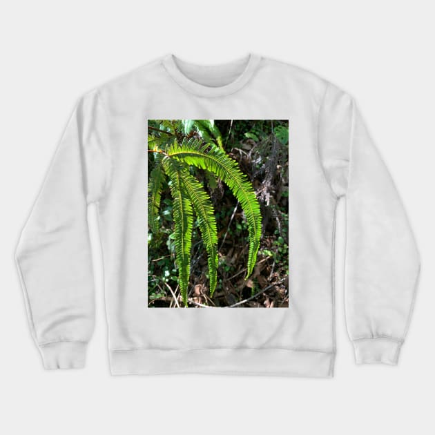 Fern Crewneck Sweatshirt by TerraDumont